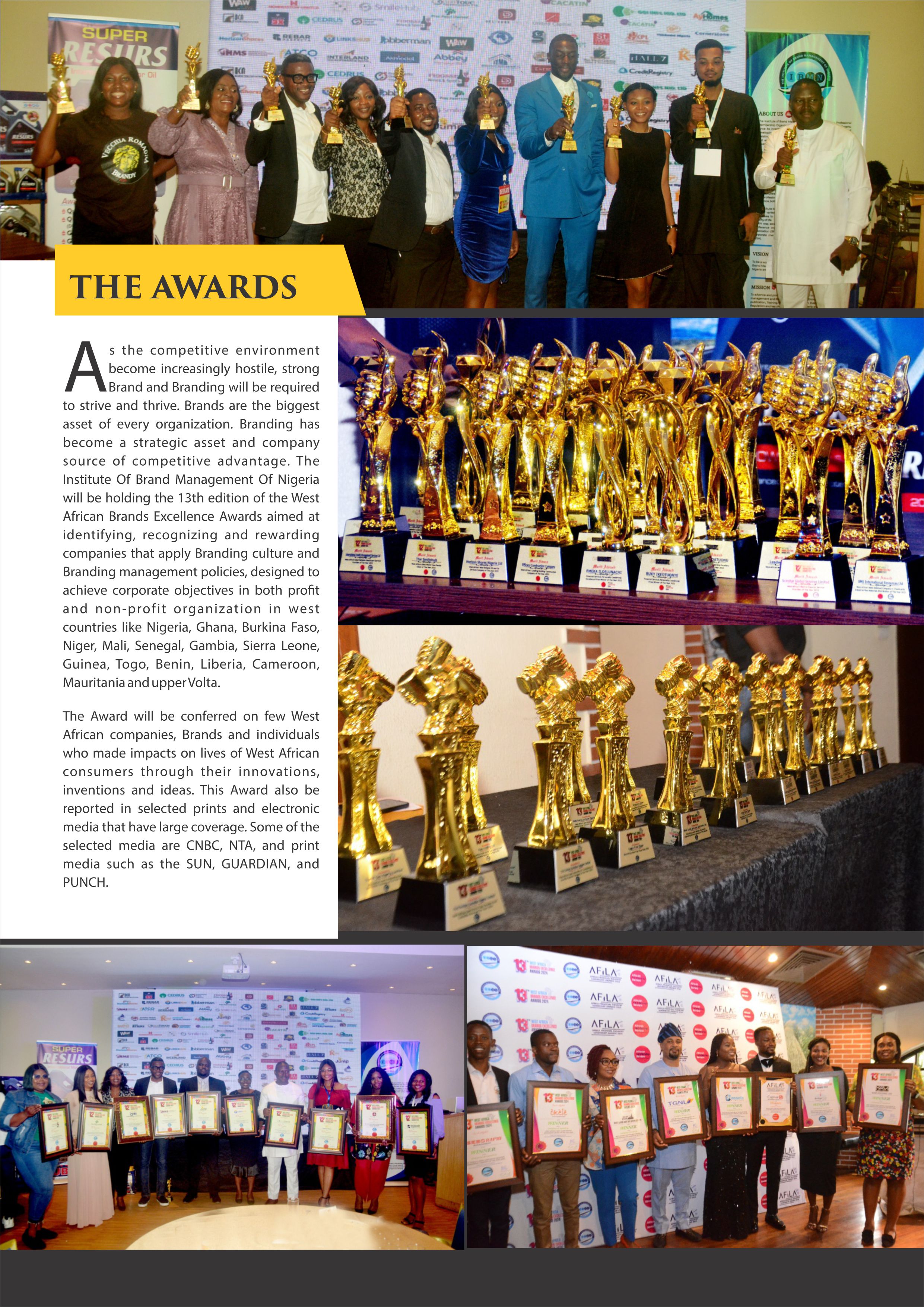 ibmn awards cartegories